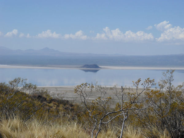 Laguna Llancanelo